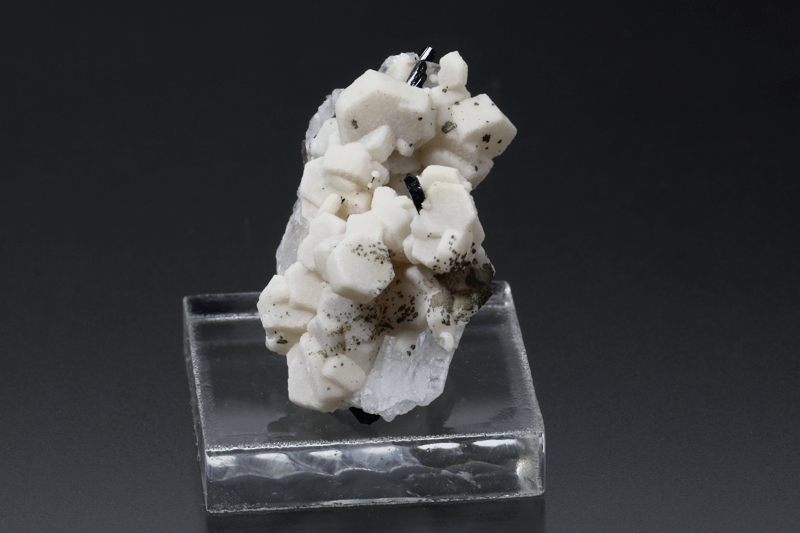 Epididymite (Quebec)