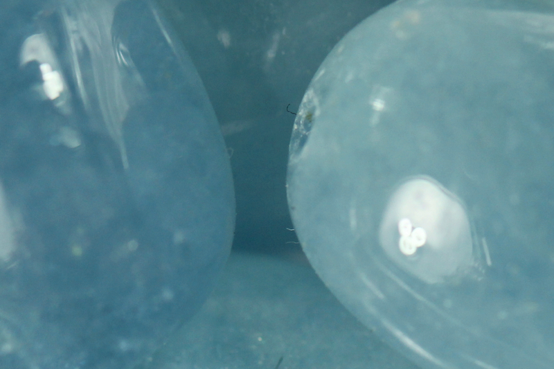 Aquamarine/ss Earrings