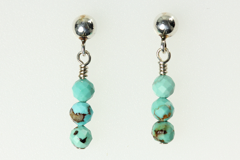 Turquoise/ss earrings